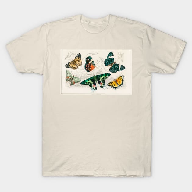 Beautiful Butterflies T-Shirt by gabbidea 